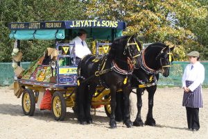 Driving authentic carriages