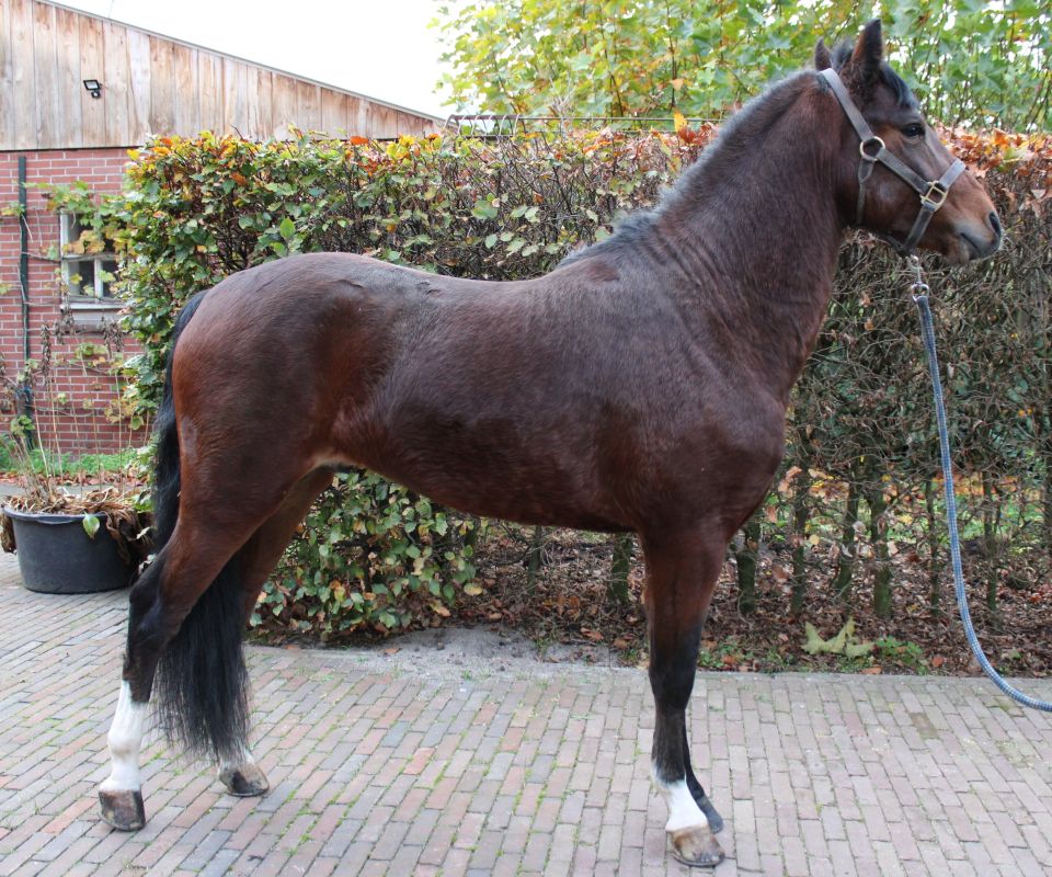 Stapleford Joint Venture